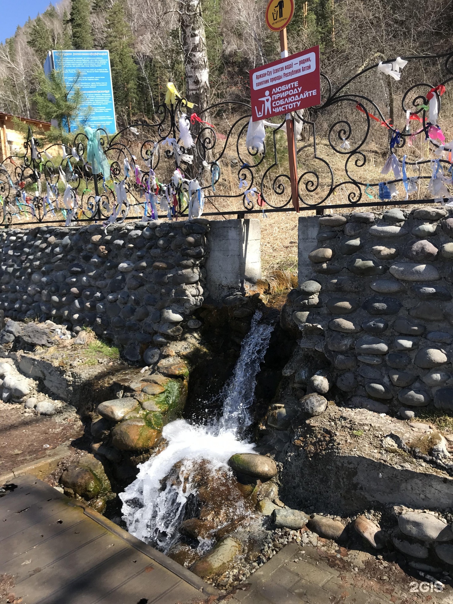 Чечек - фото 137