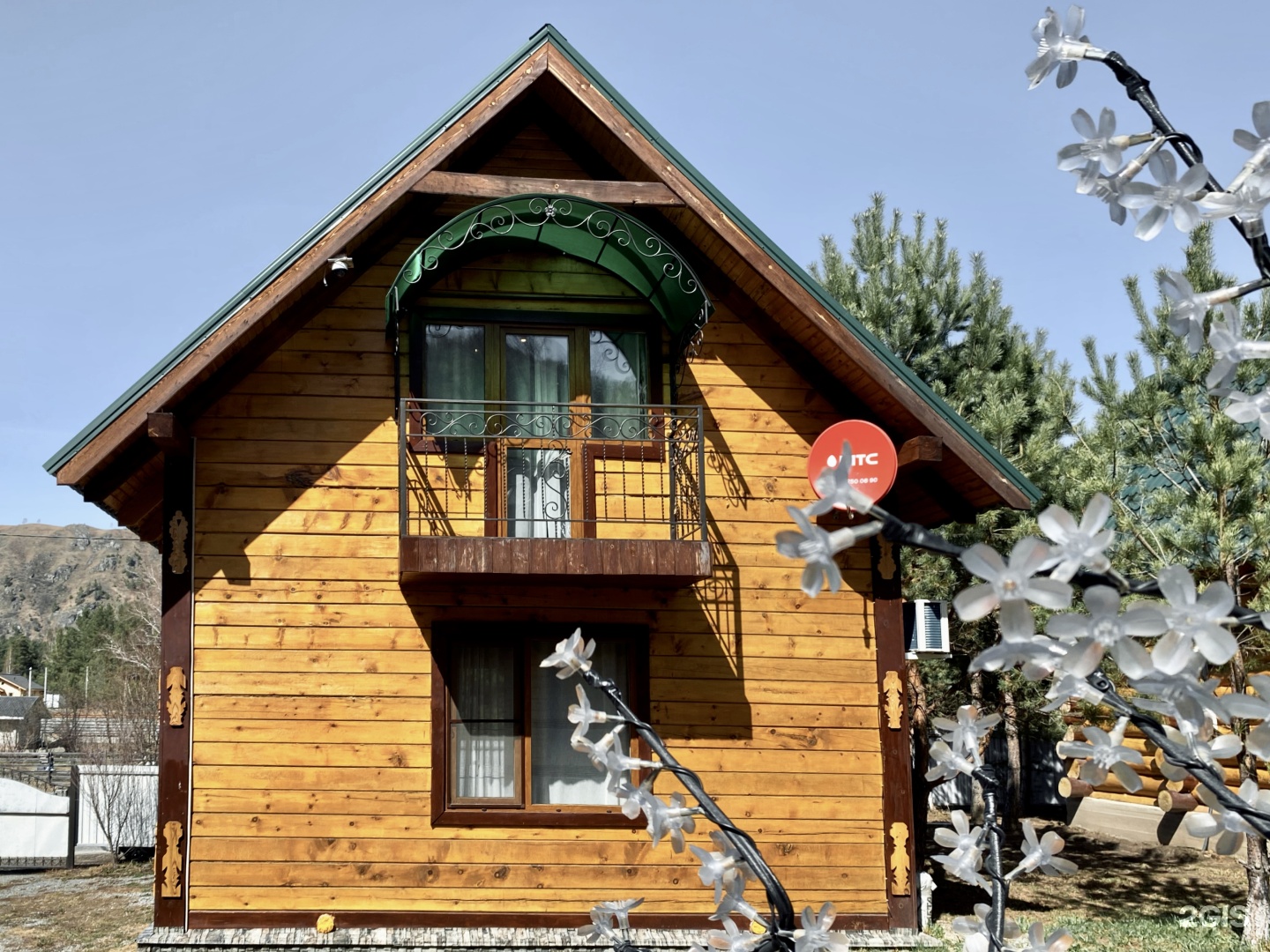 Кедровый рай - фото 1