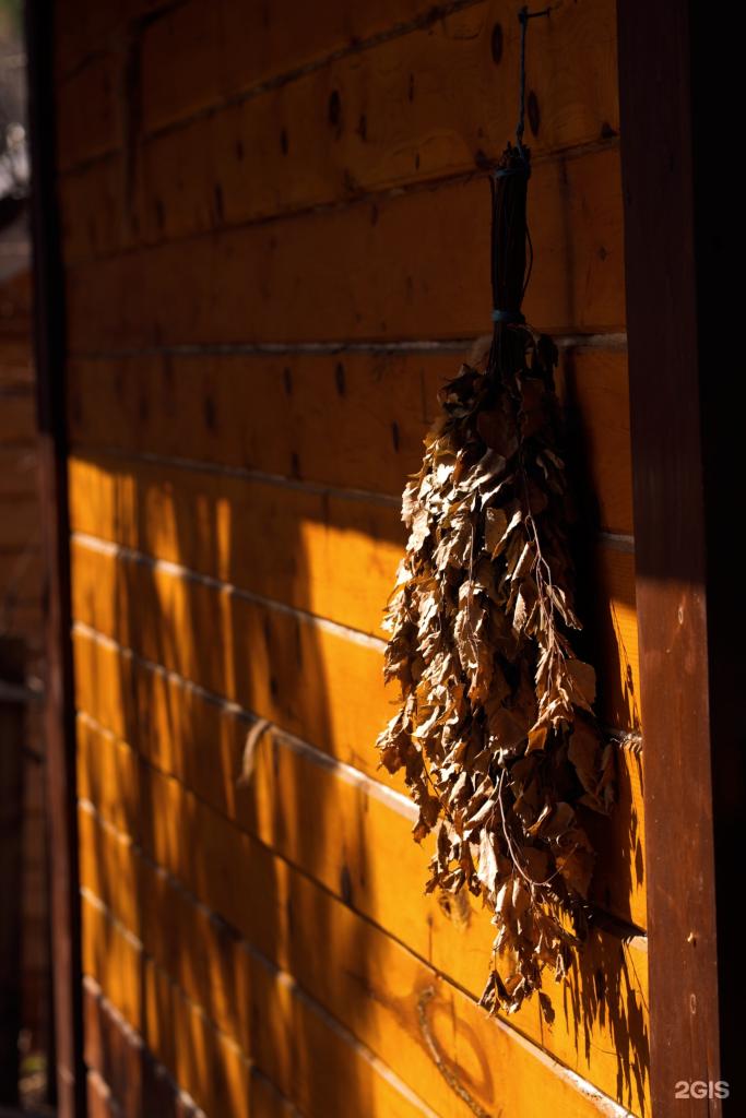 Кедровый рай - фото 2