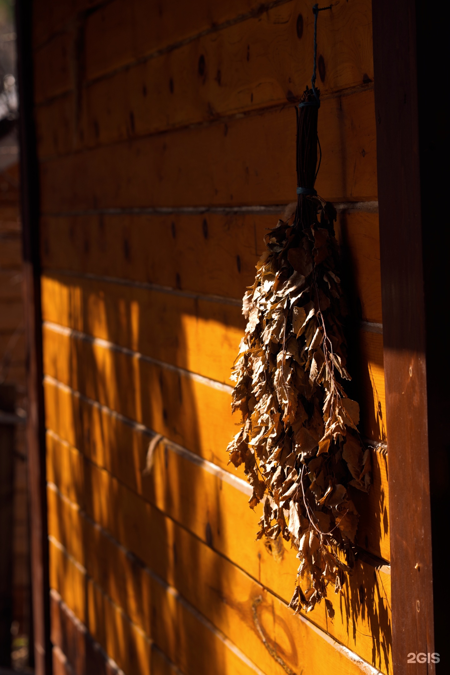 Кедровый рай - фото 2
