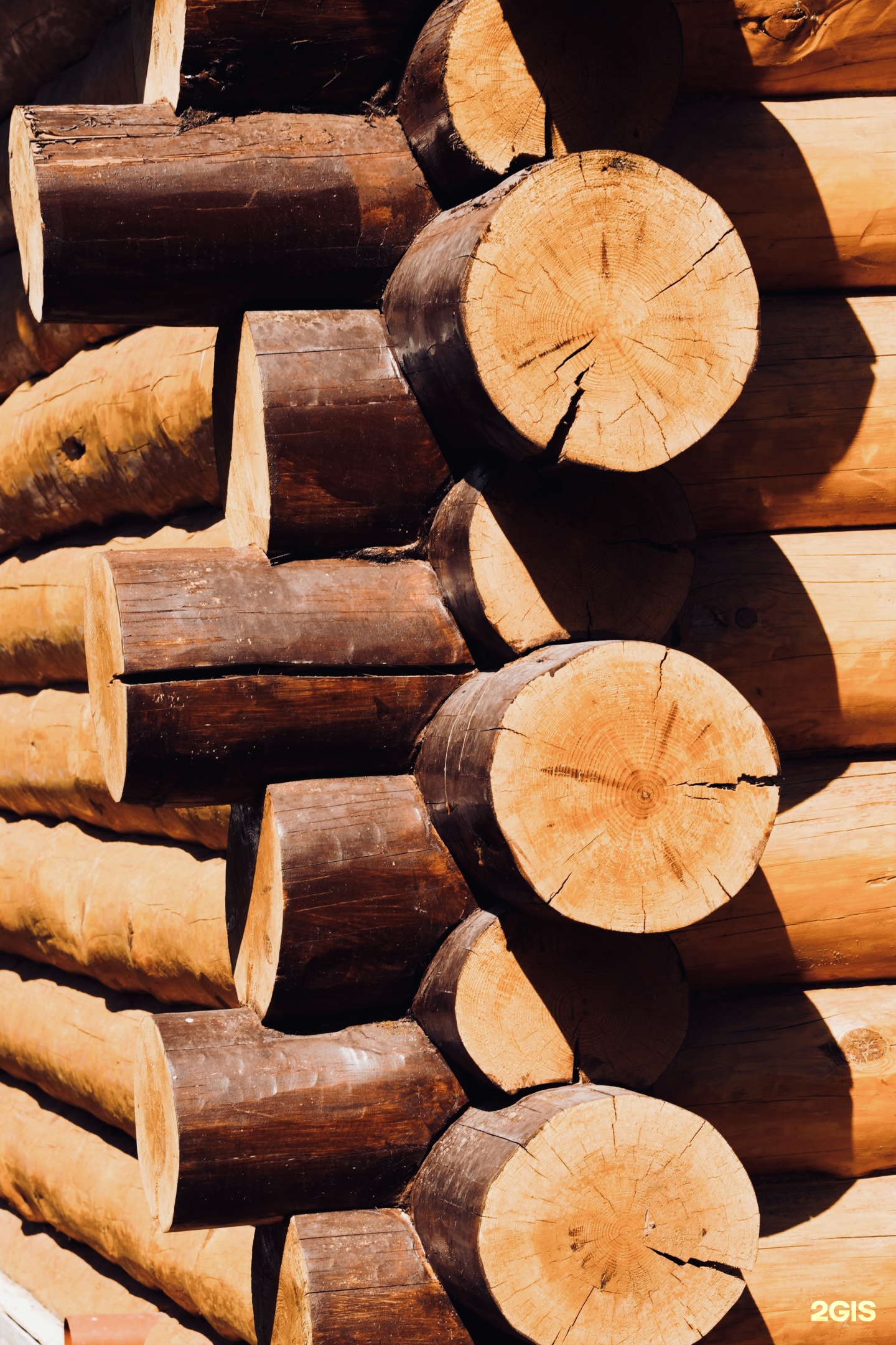 Кедровый рай - фото 15