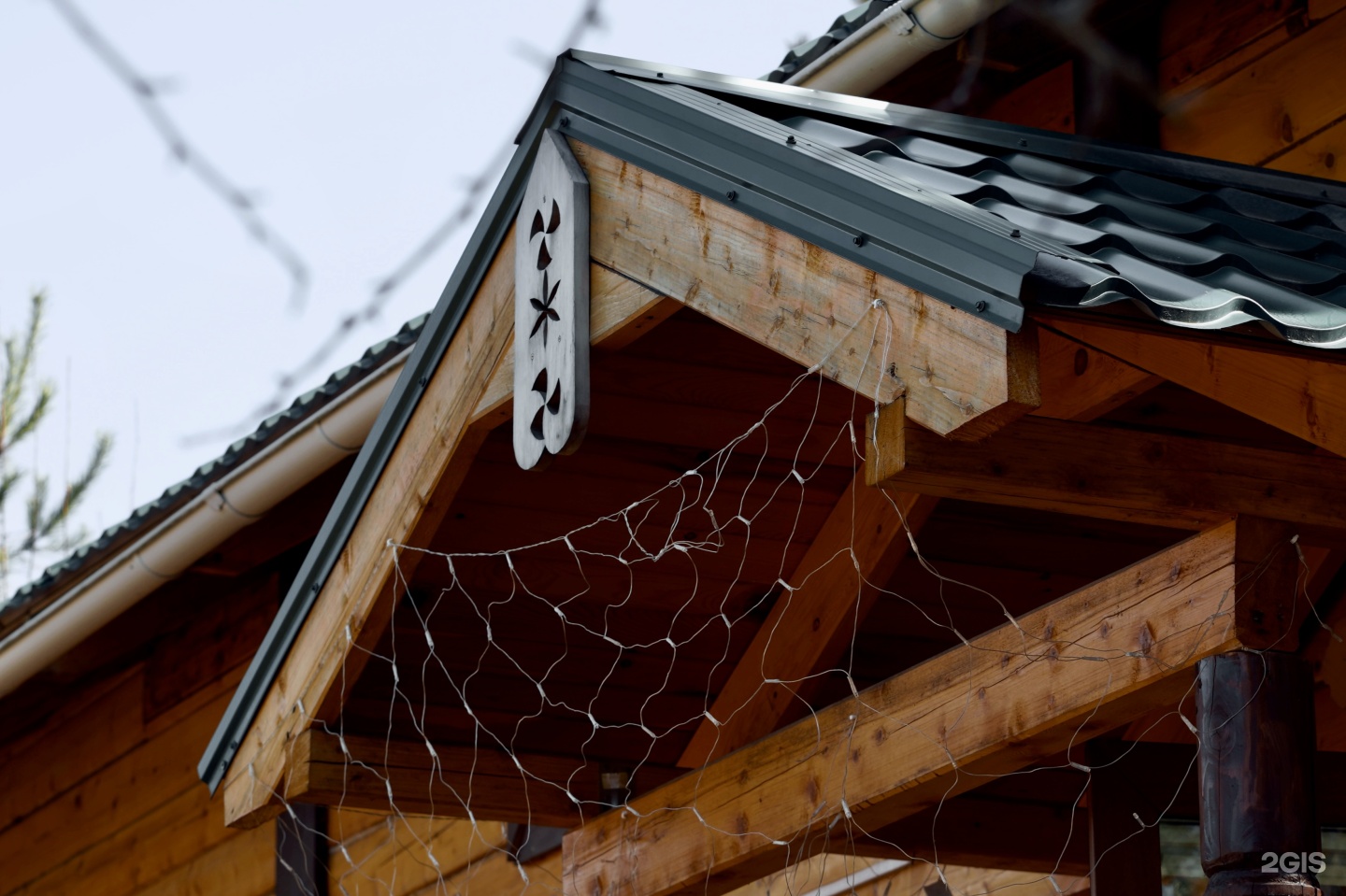 Кедровый рай - фото 19