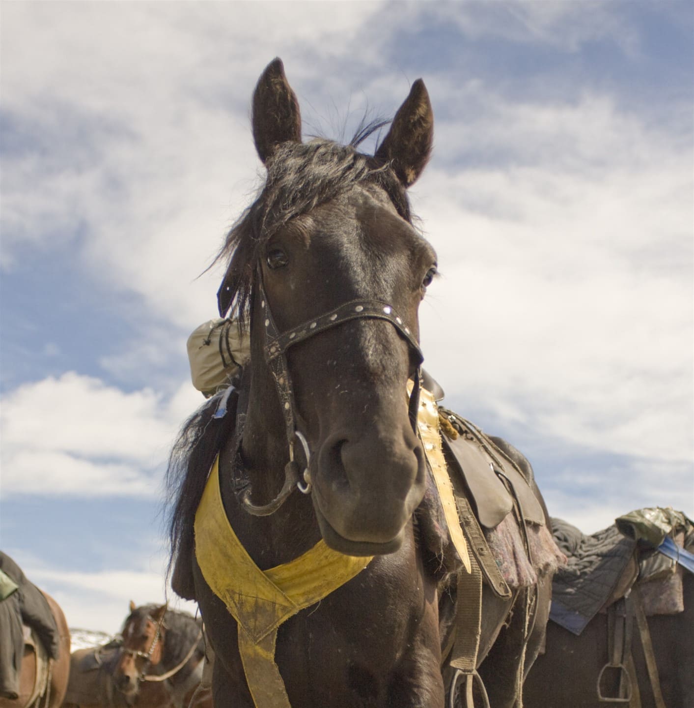 Алтайские дали - фото 3