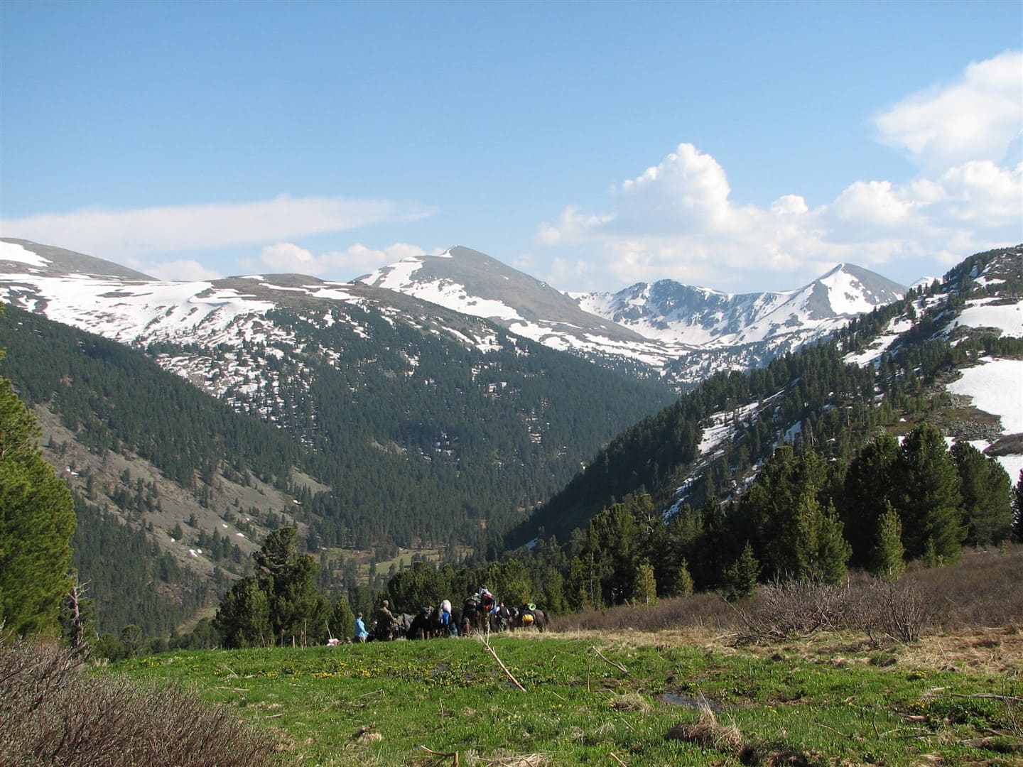 АЛТАЙСКАЯ КЛАССИКА - фото 2