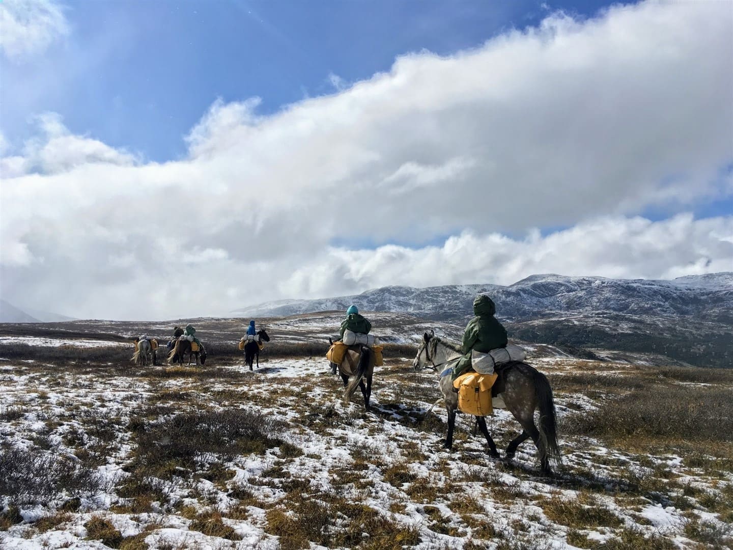 АЛТАЙСКАЯ КЛАССИКА - фото 9