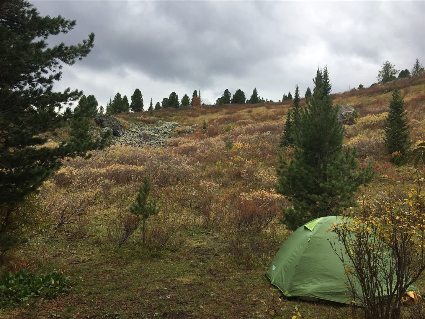 АЛТАЙСКАЯ КЛАССИКА - фото 10