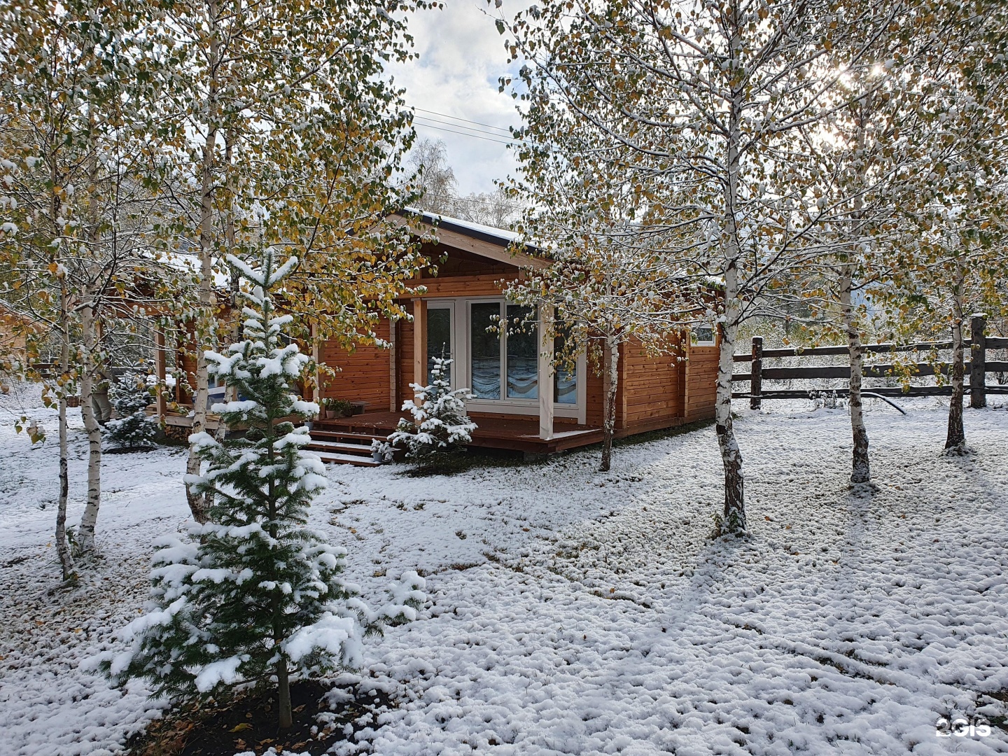 Altai ForRest - фото 1