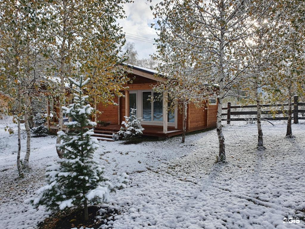 Altai ForRest - фото 1