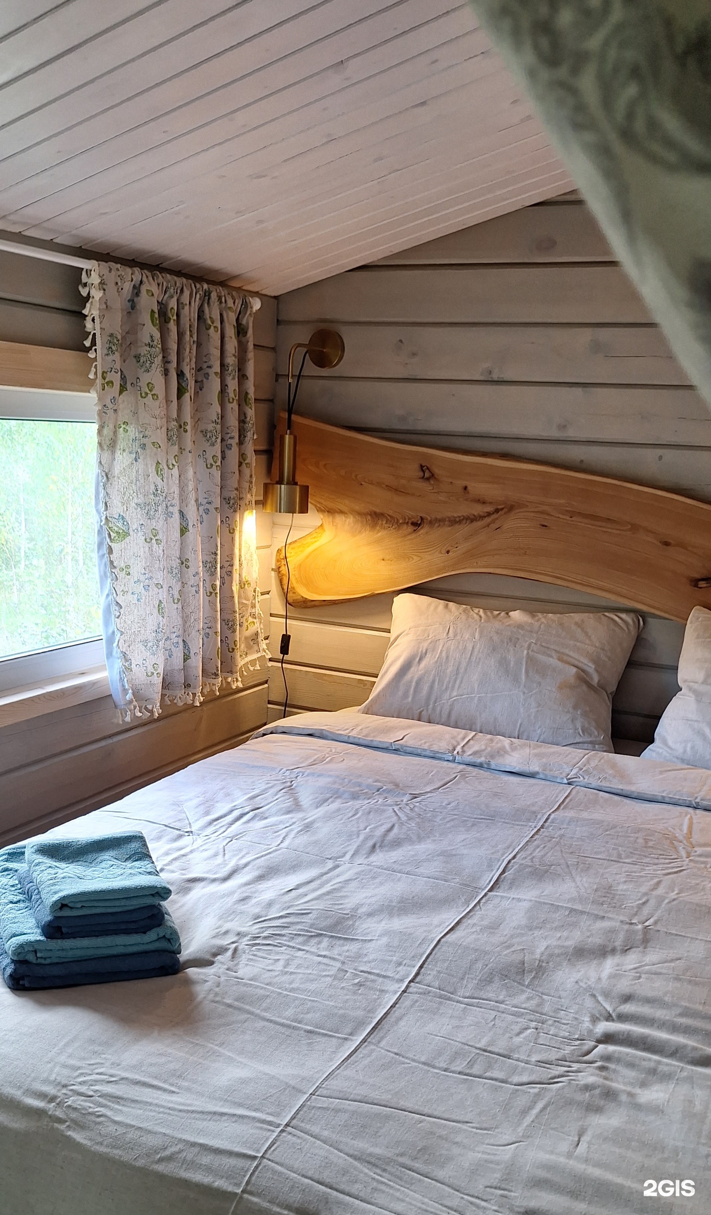 Altai ForRest - фото 6