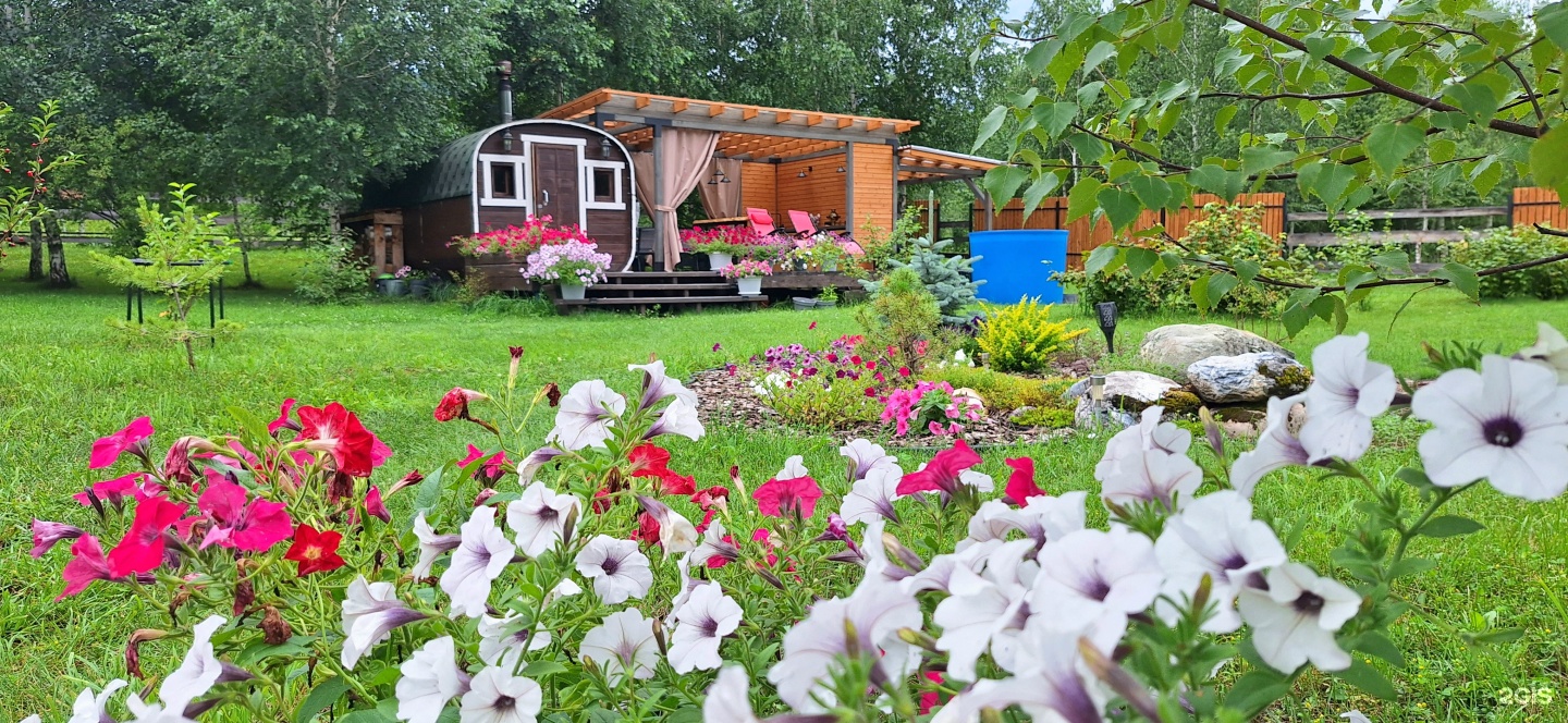 Altai ForRest - фото 15