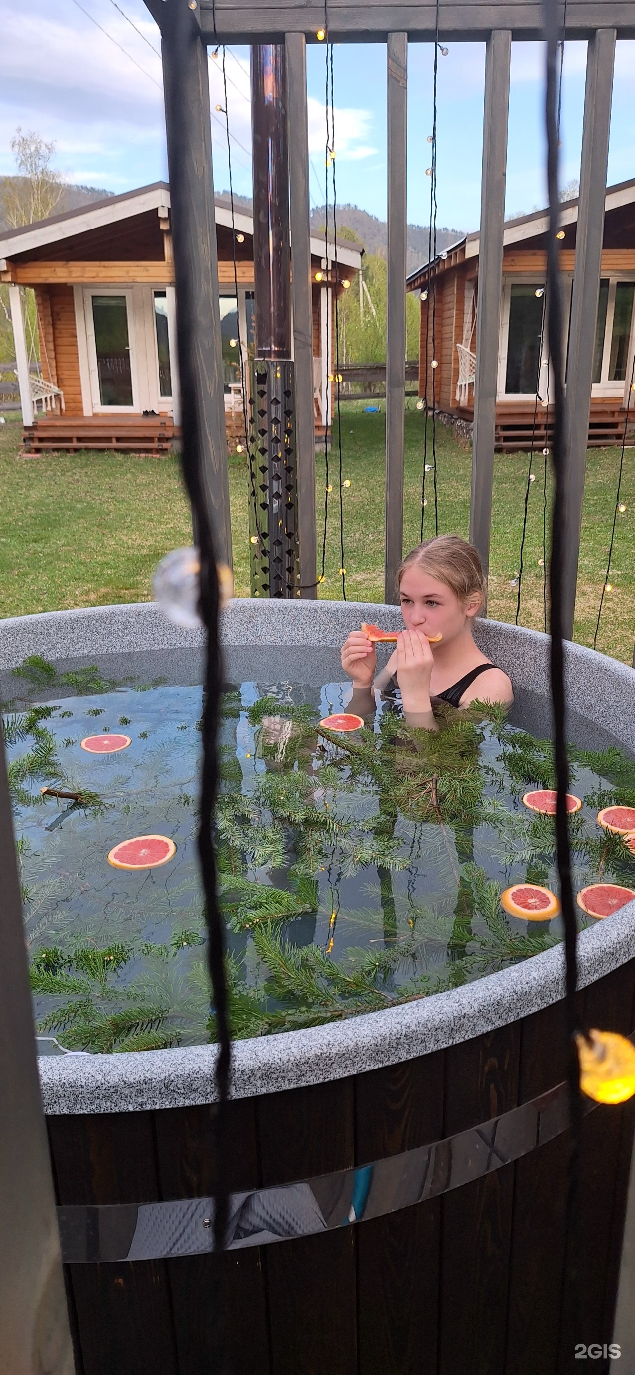 Altai ForRest - фото 18