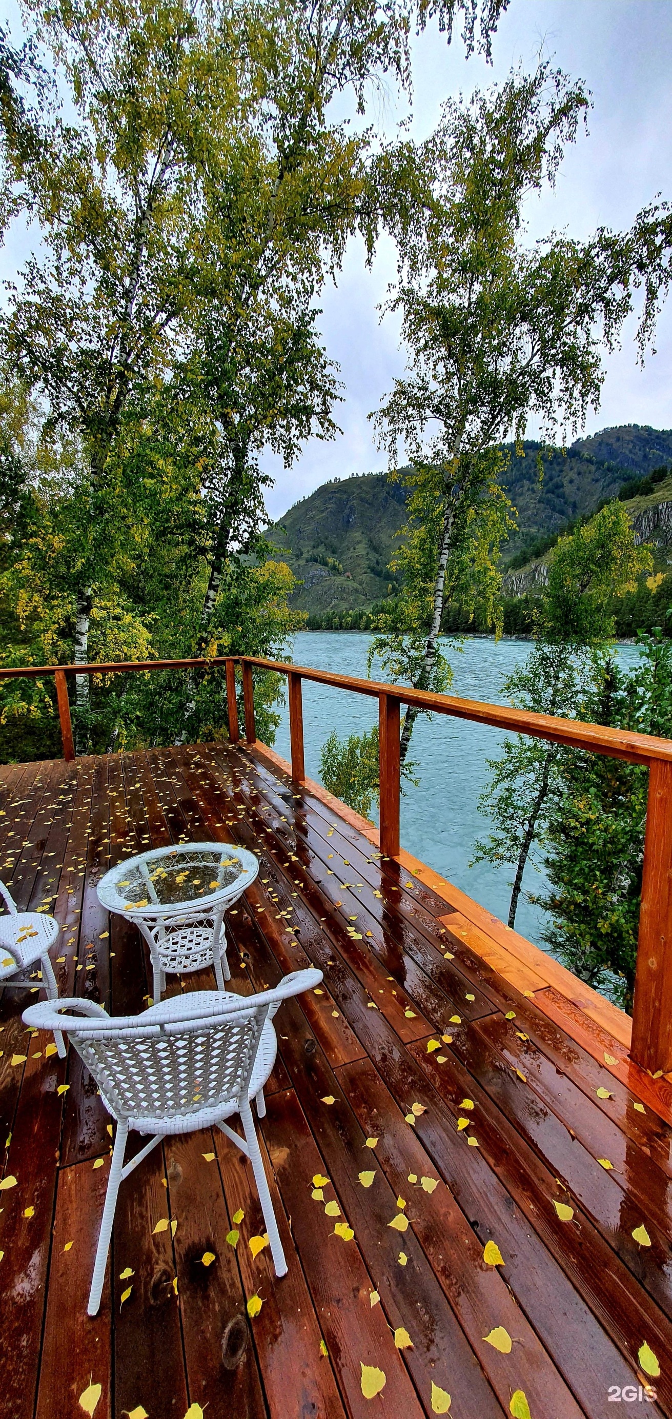 Altai ForRest - фото 19