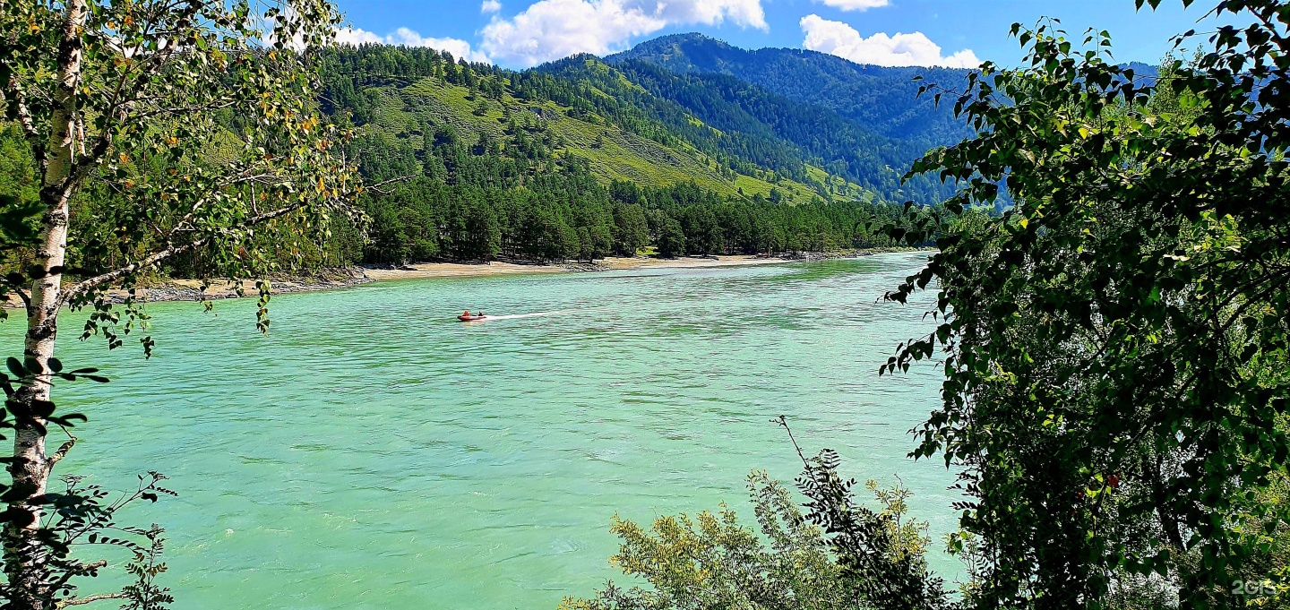 Altai ForRest - фото 21