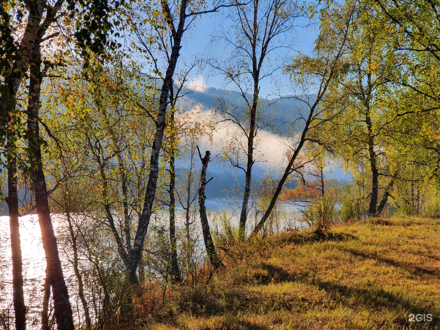 Altai ForRest - фото 23