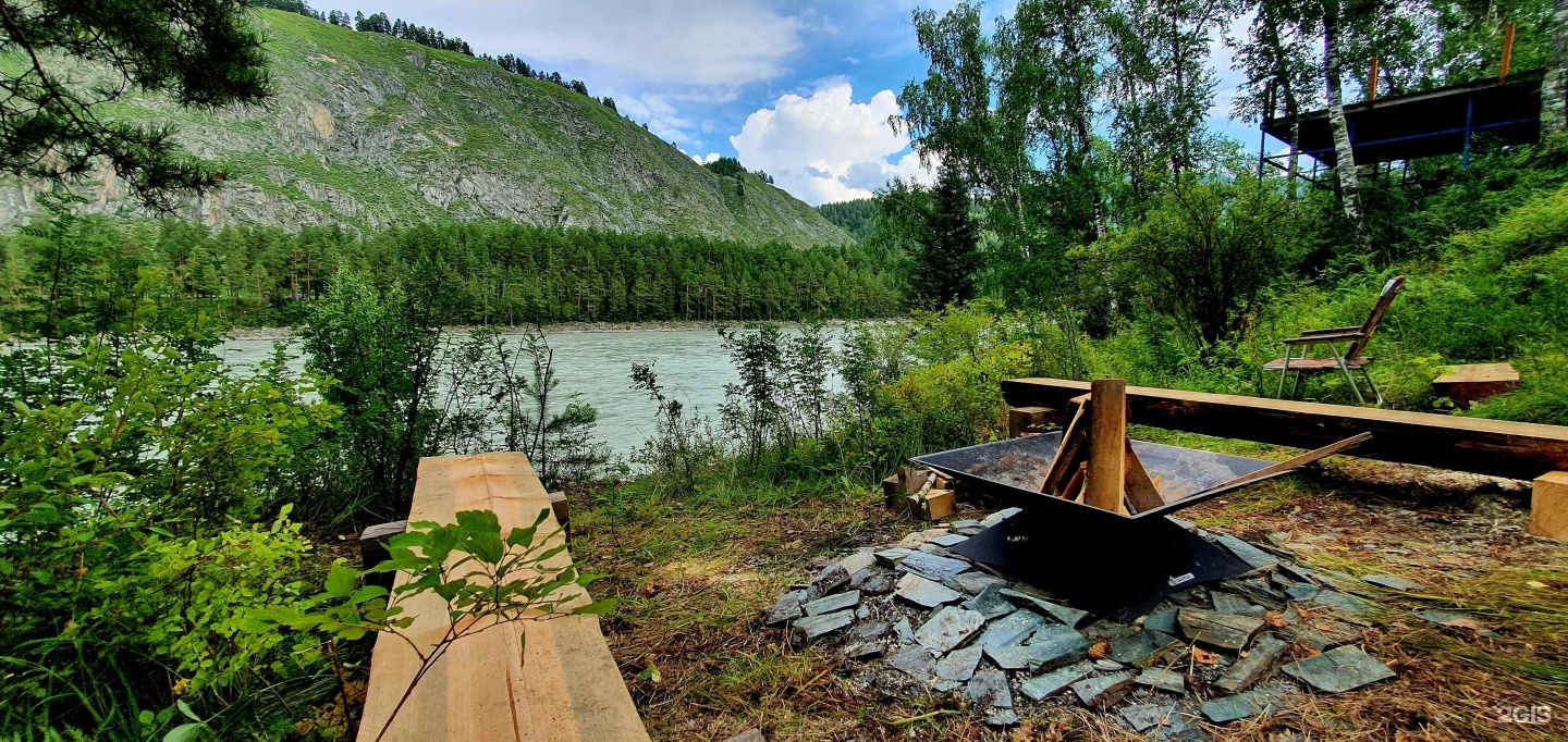 Altai ForRest - фото 24