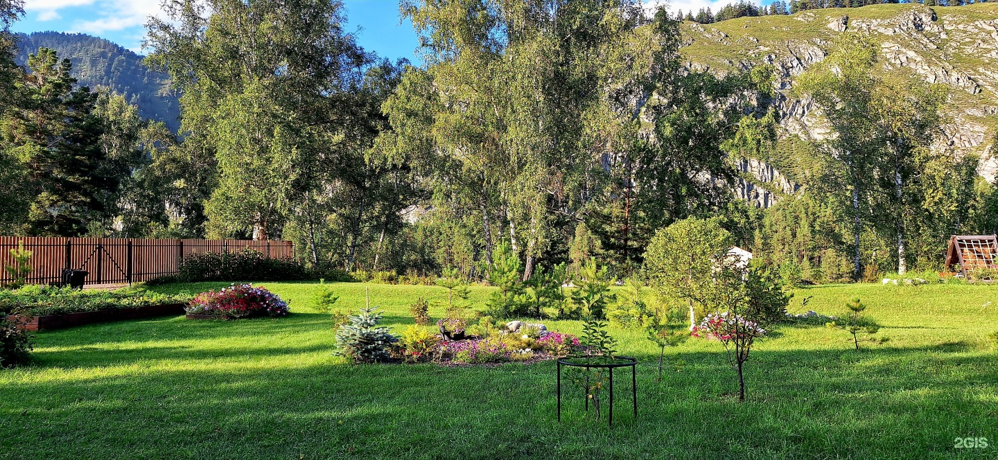 Altai ForRest - фото 25