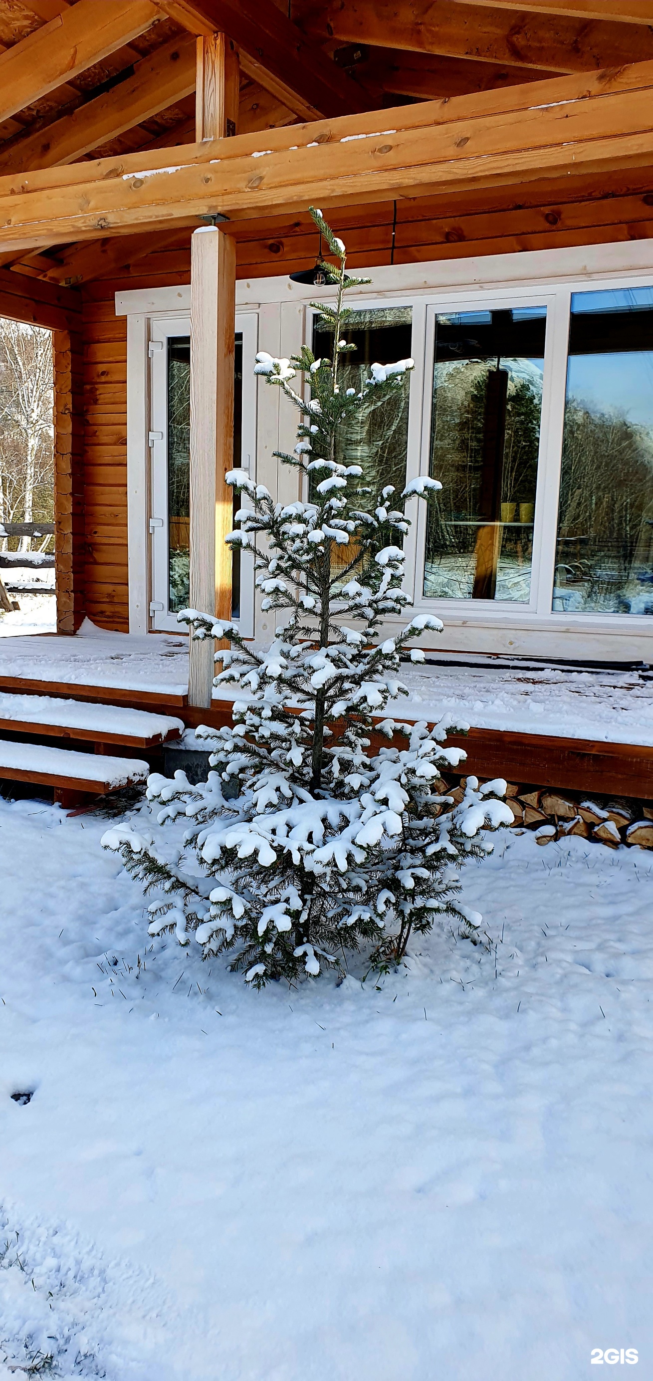 Altai ForRest - фото 26