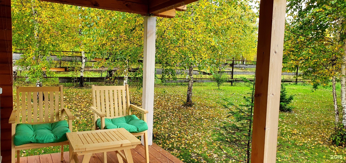 Altai ForRest - фото 27