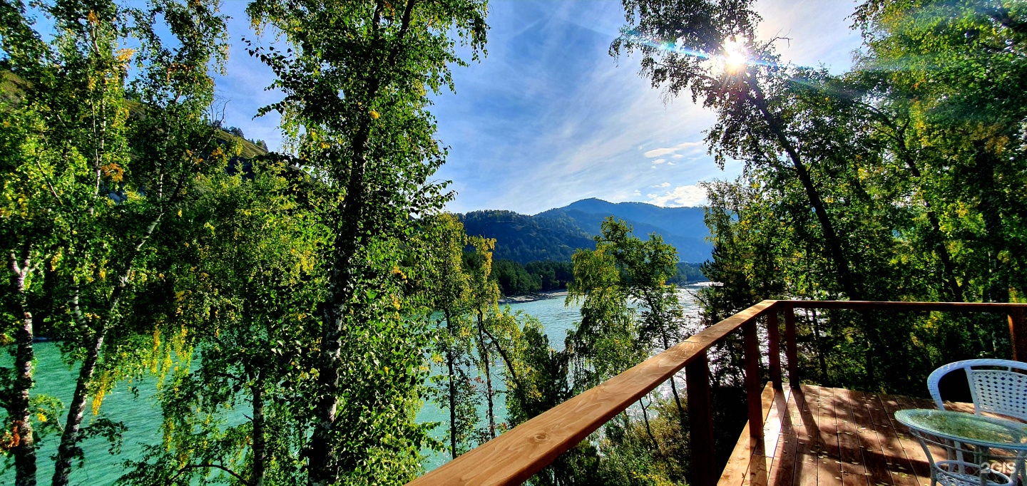 Altai ForRest - фото 34