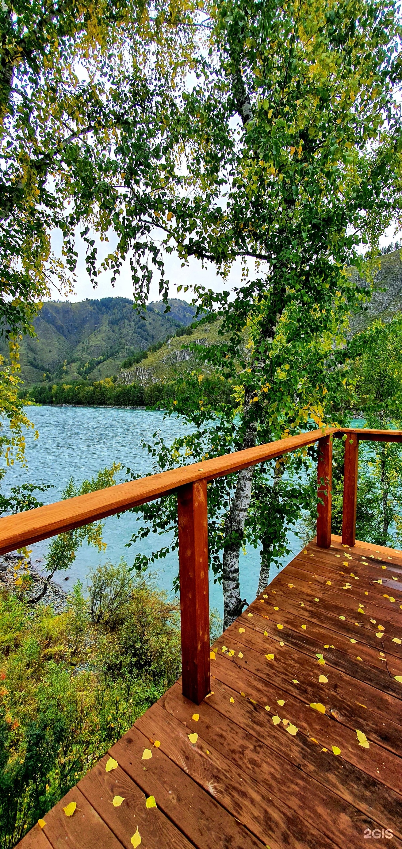 Altai ForRest - фото 36