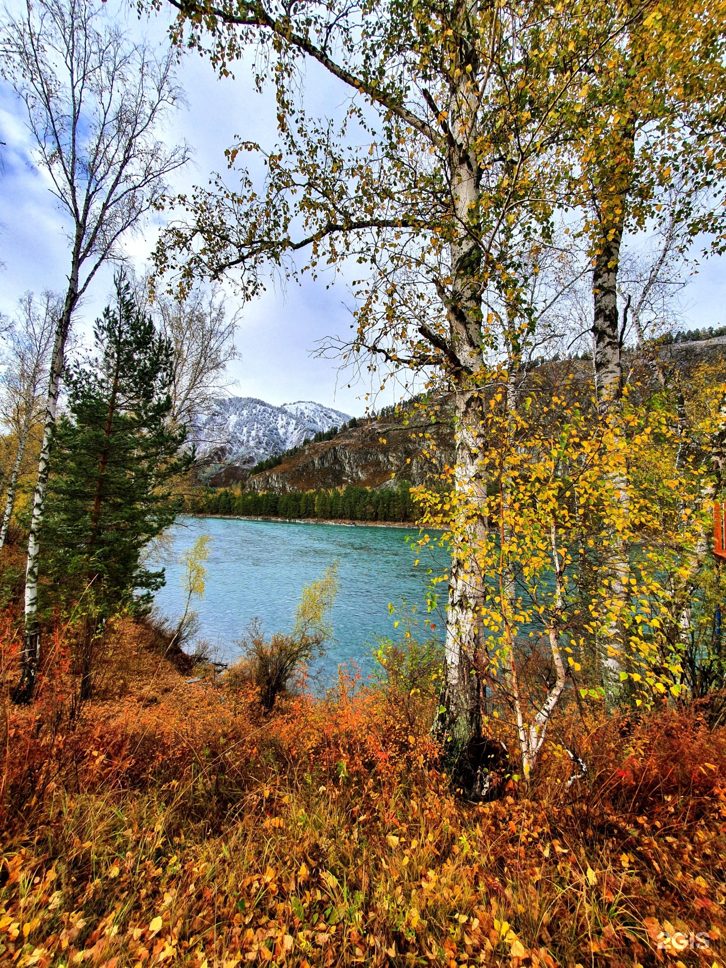 Altai ForRest - фото 39