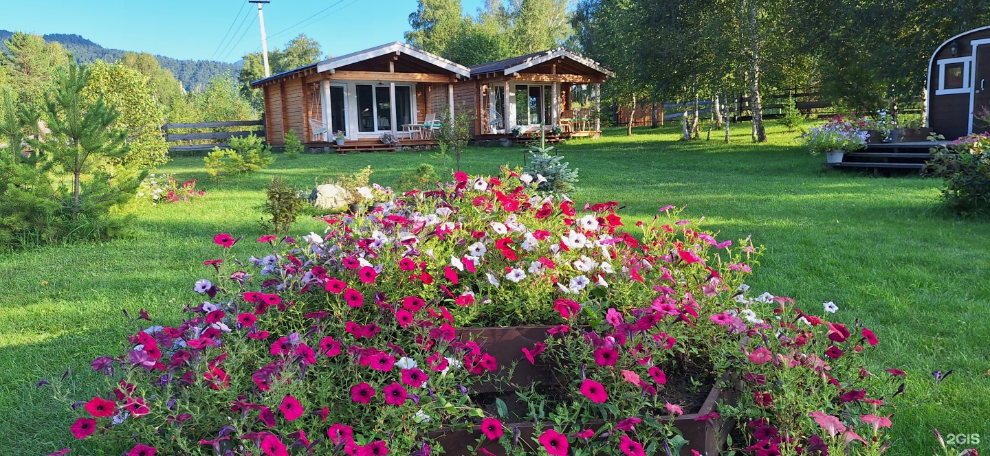 Altai ForRest - фото 40