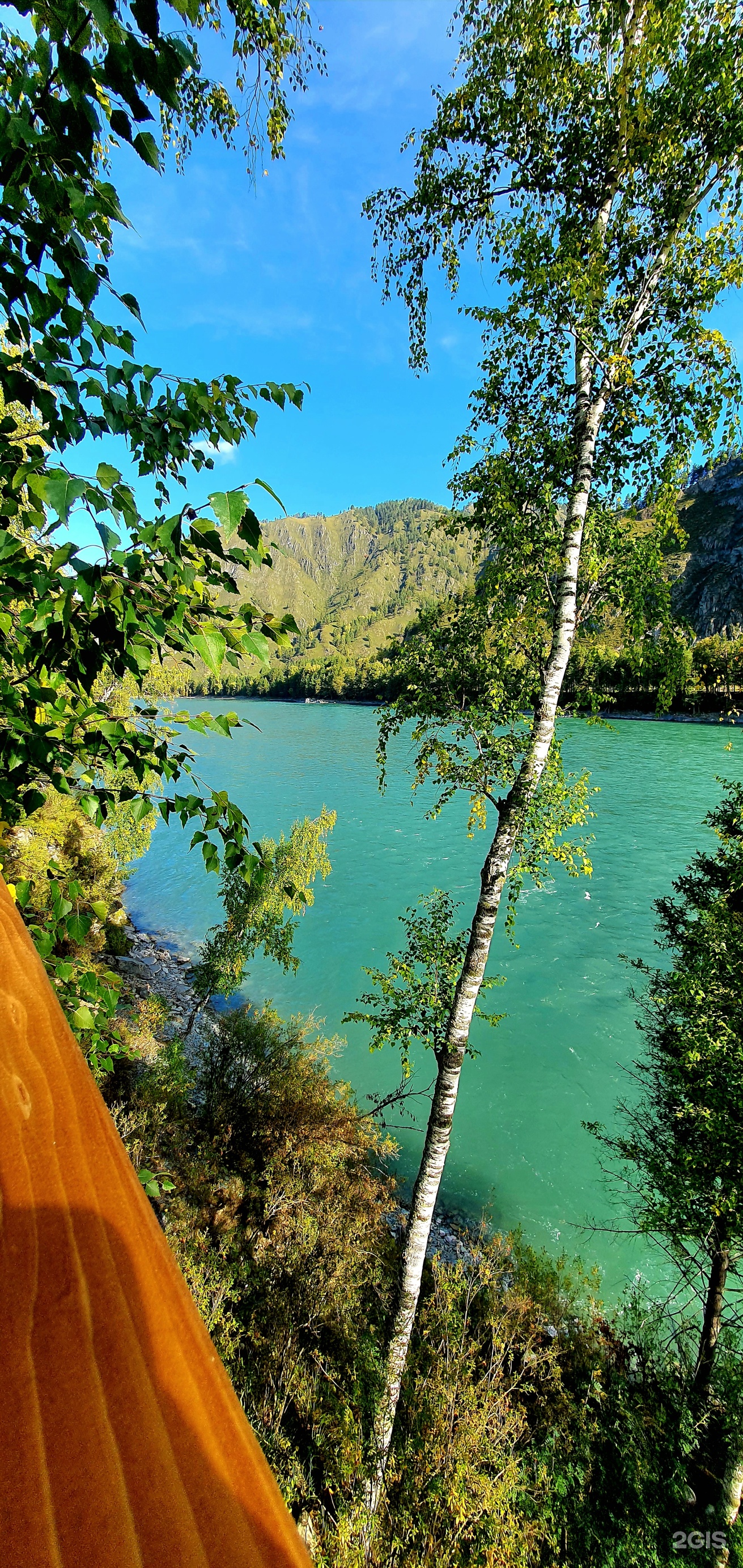 Altai ForRest - фото 42