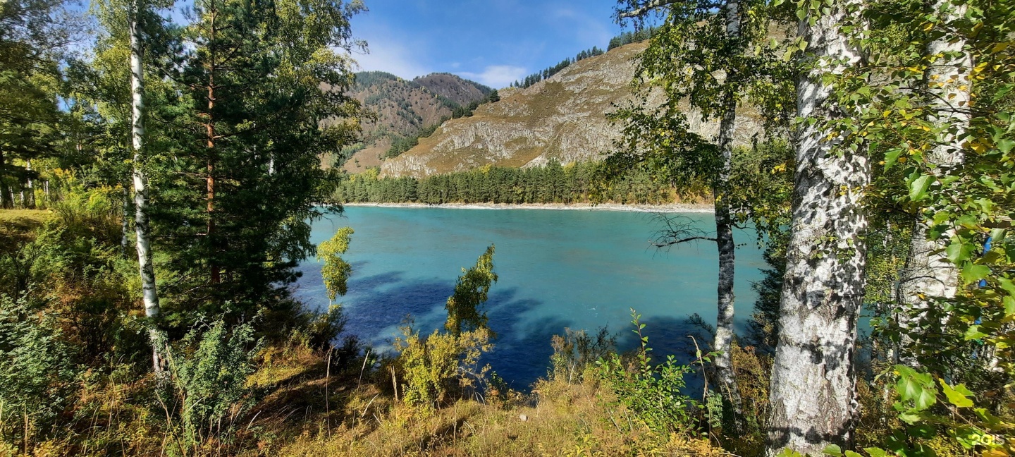 Altai ForRest - фото 43