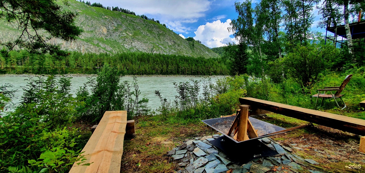 Altai ForRest - фото 44