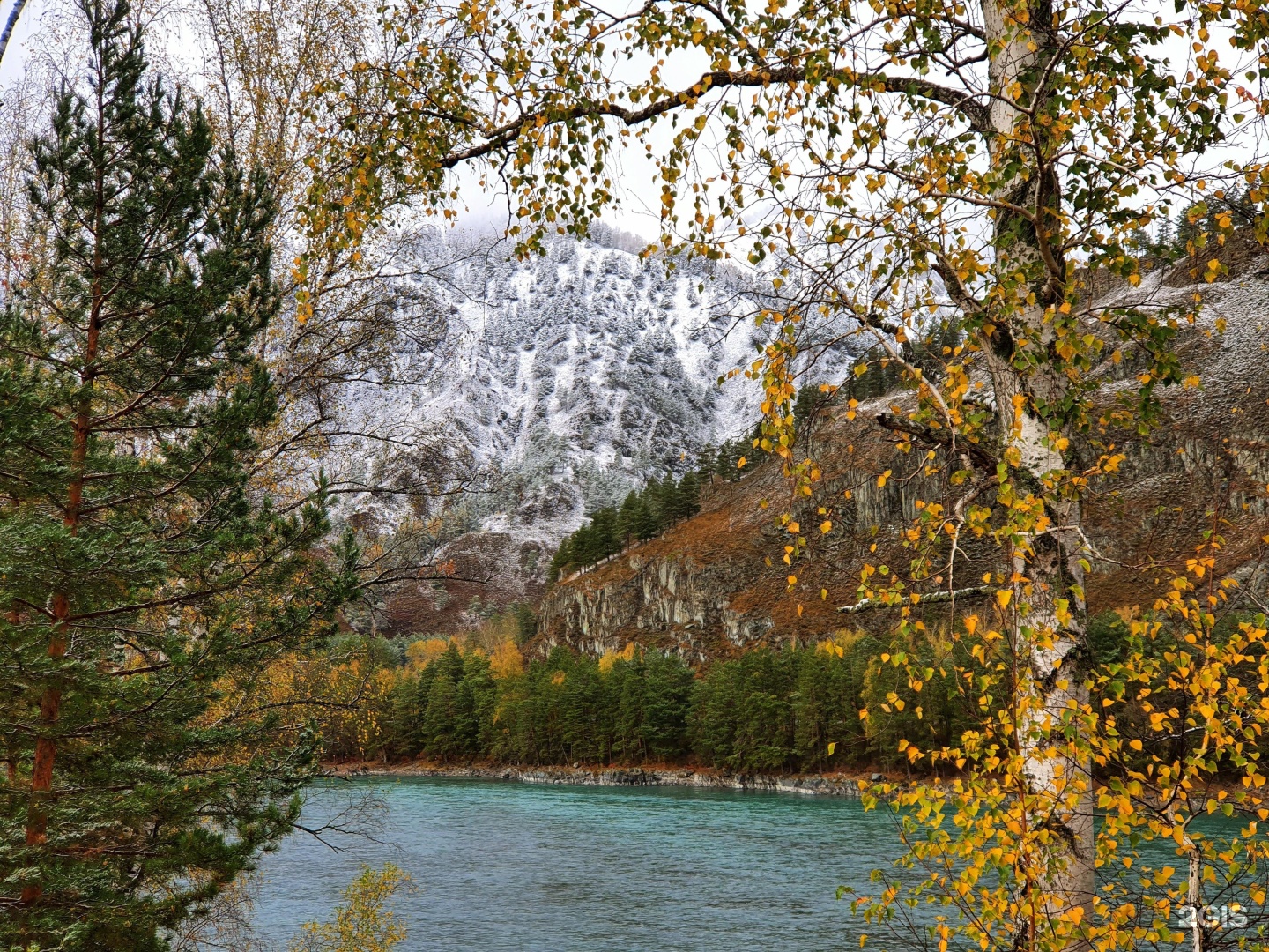 Altai ForRest - фото 46