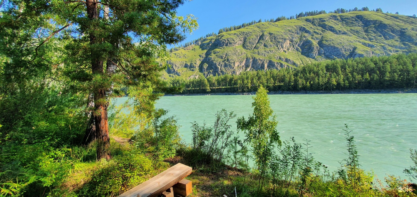 Altai ForRest - фото 47