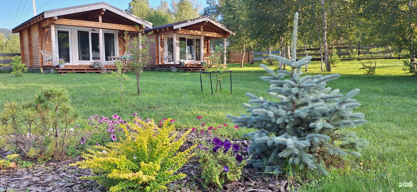 Altai ForRest - фото 48