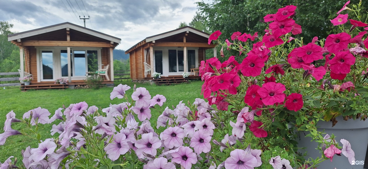 Altai ForRest - фото 49