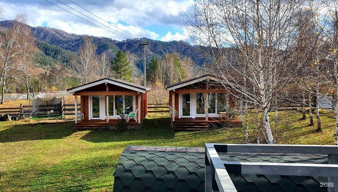 Altai ForRest - фото 50