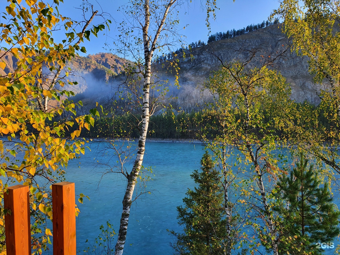 Altai ForRest - фото 51