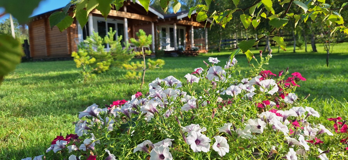 Altai ForRest - фото 52