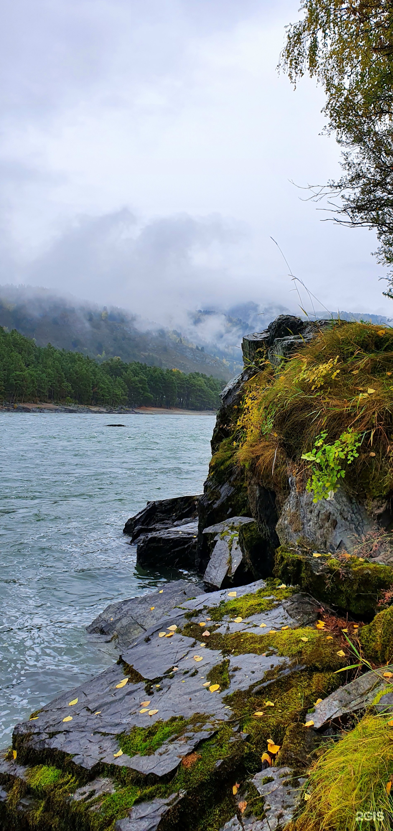 Altai ForRest - фото 53