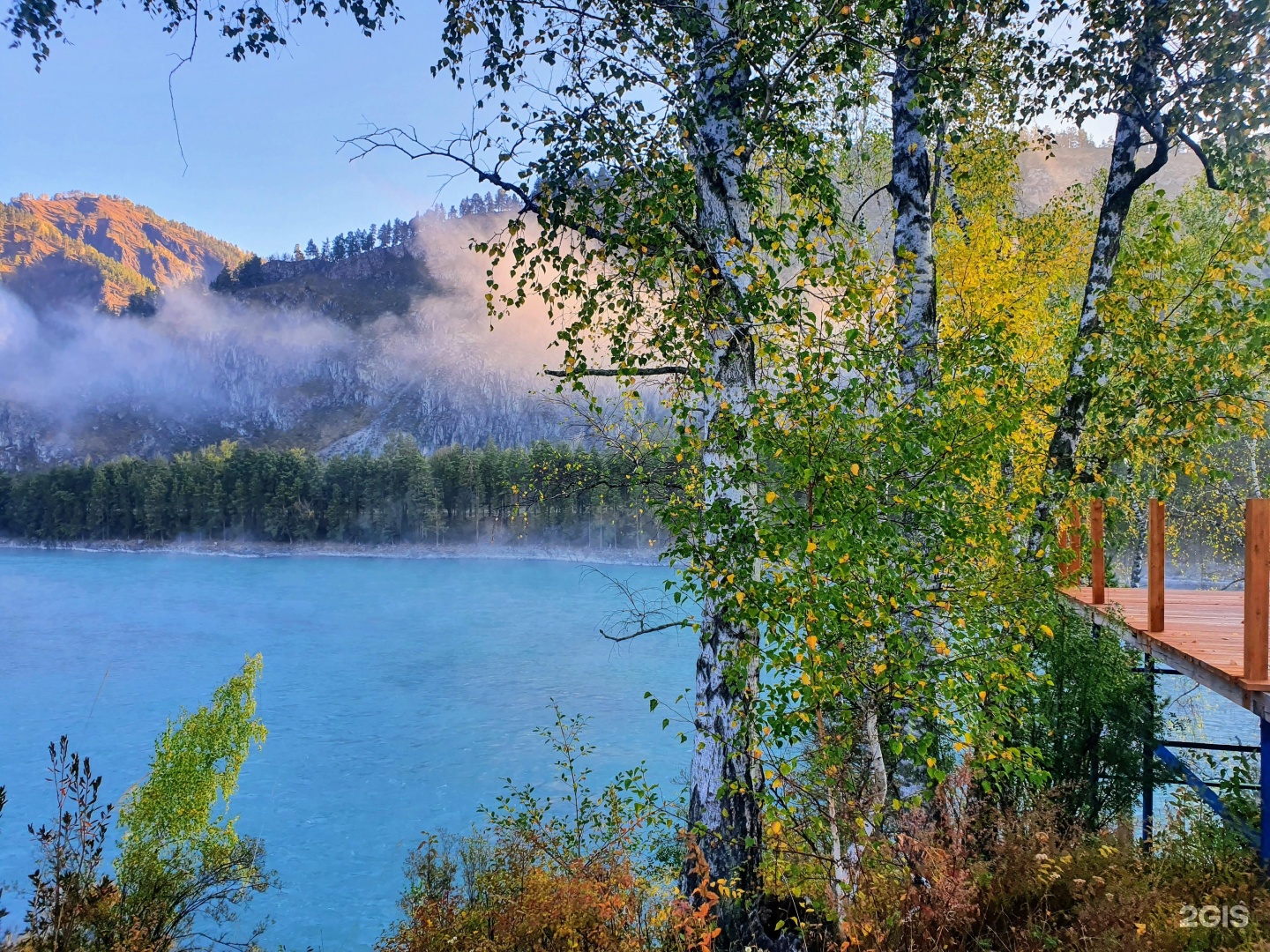 Altai ForRest - фото 55