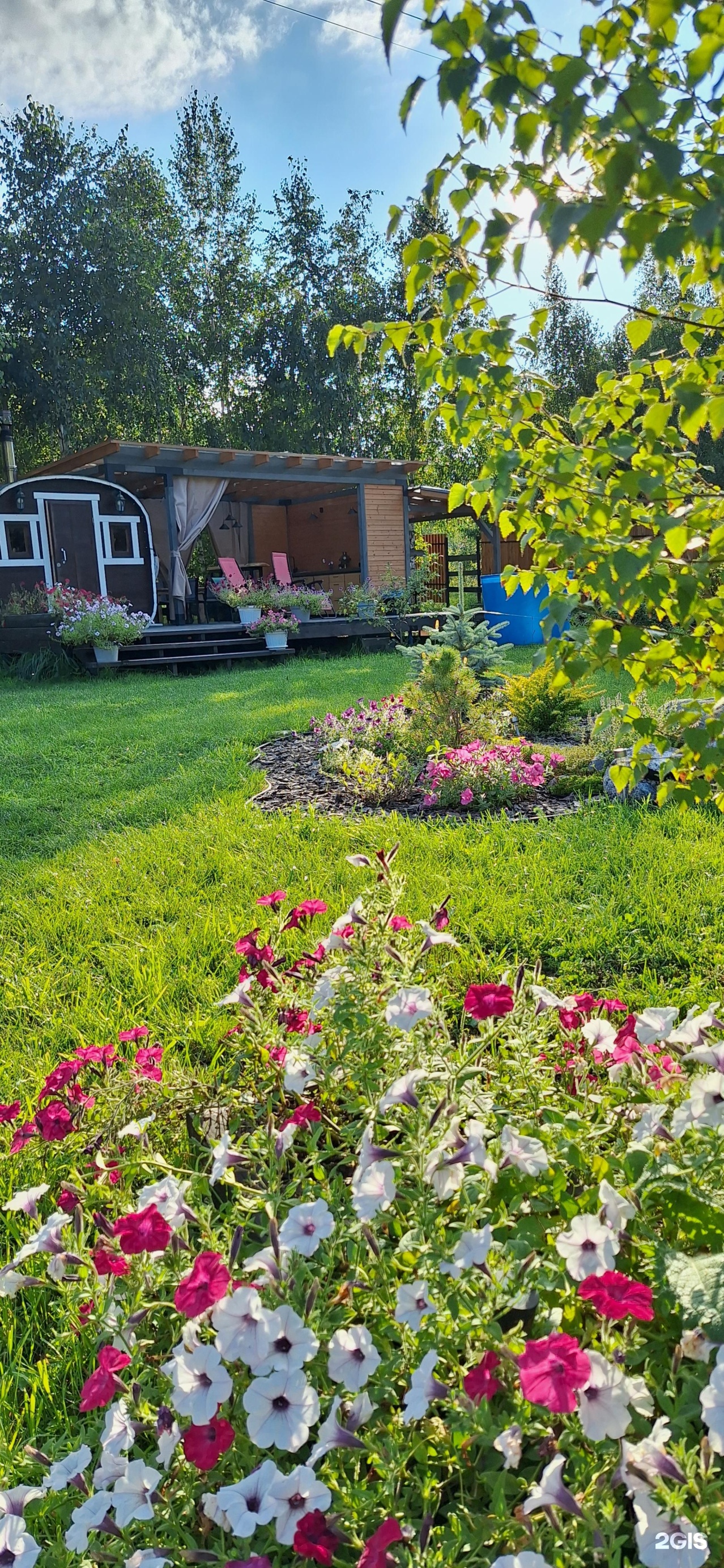 Altai ForRest - фото 57