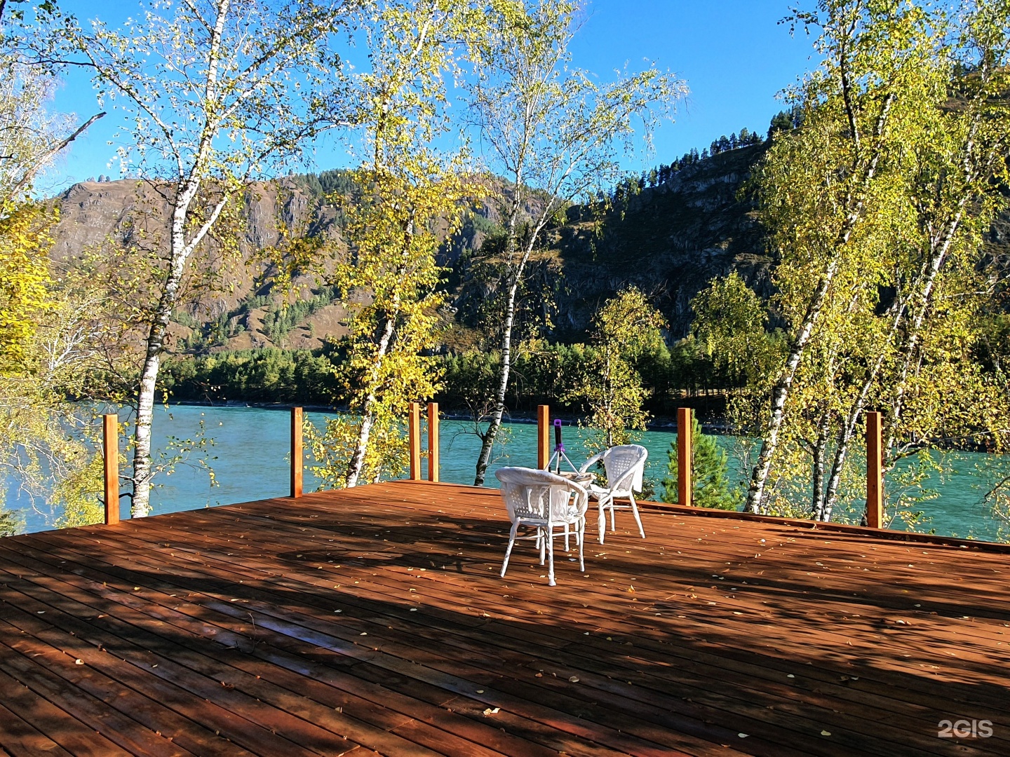 Altai ForRest - фото 58