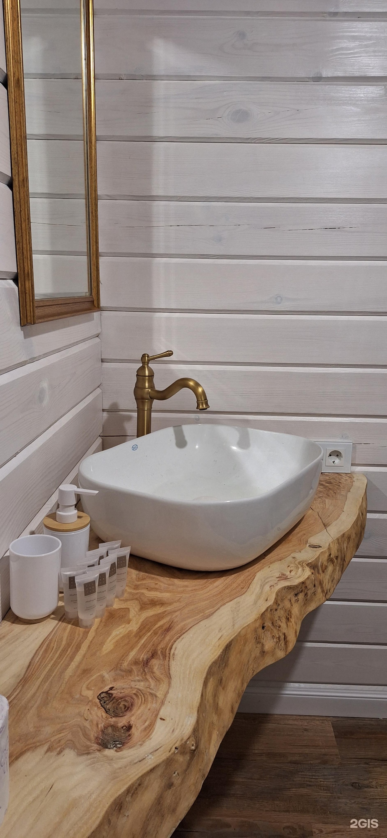 Altai ForRest - фото 59