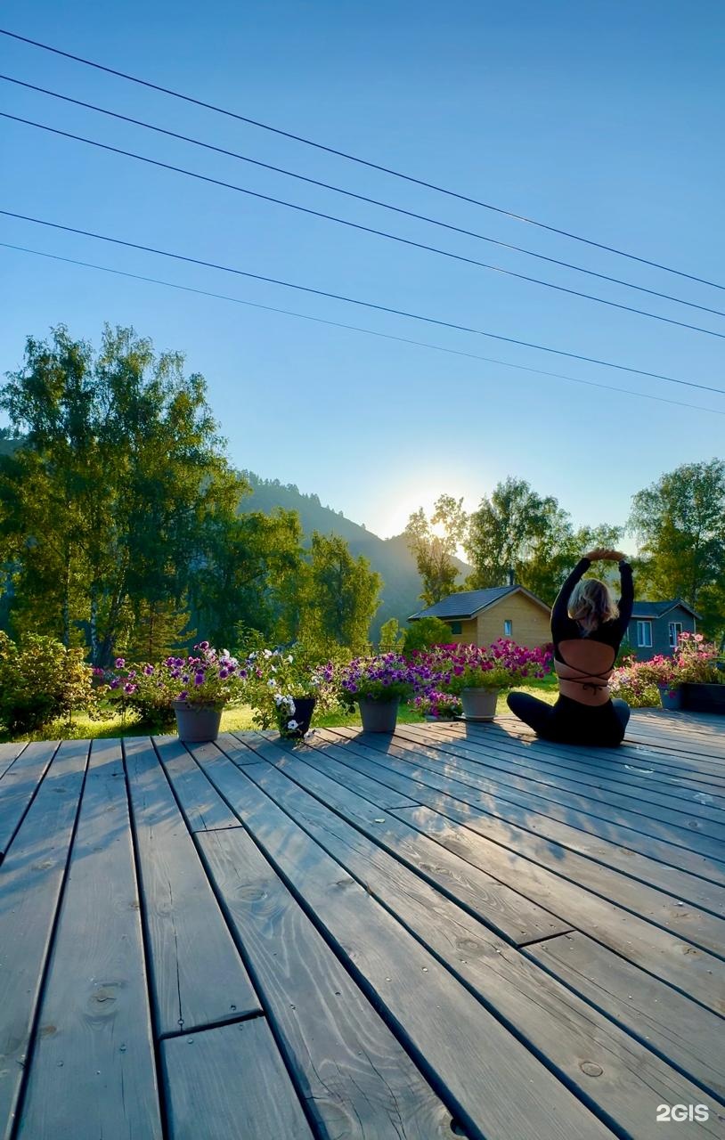 Altai ForRest - фото 60