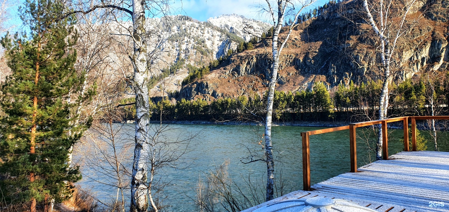 Altai ForRest - фото 61