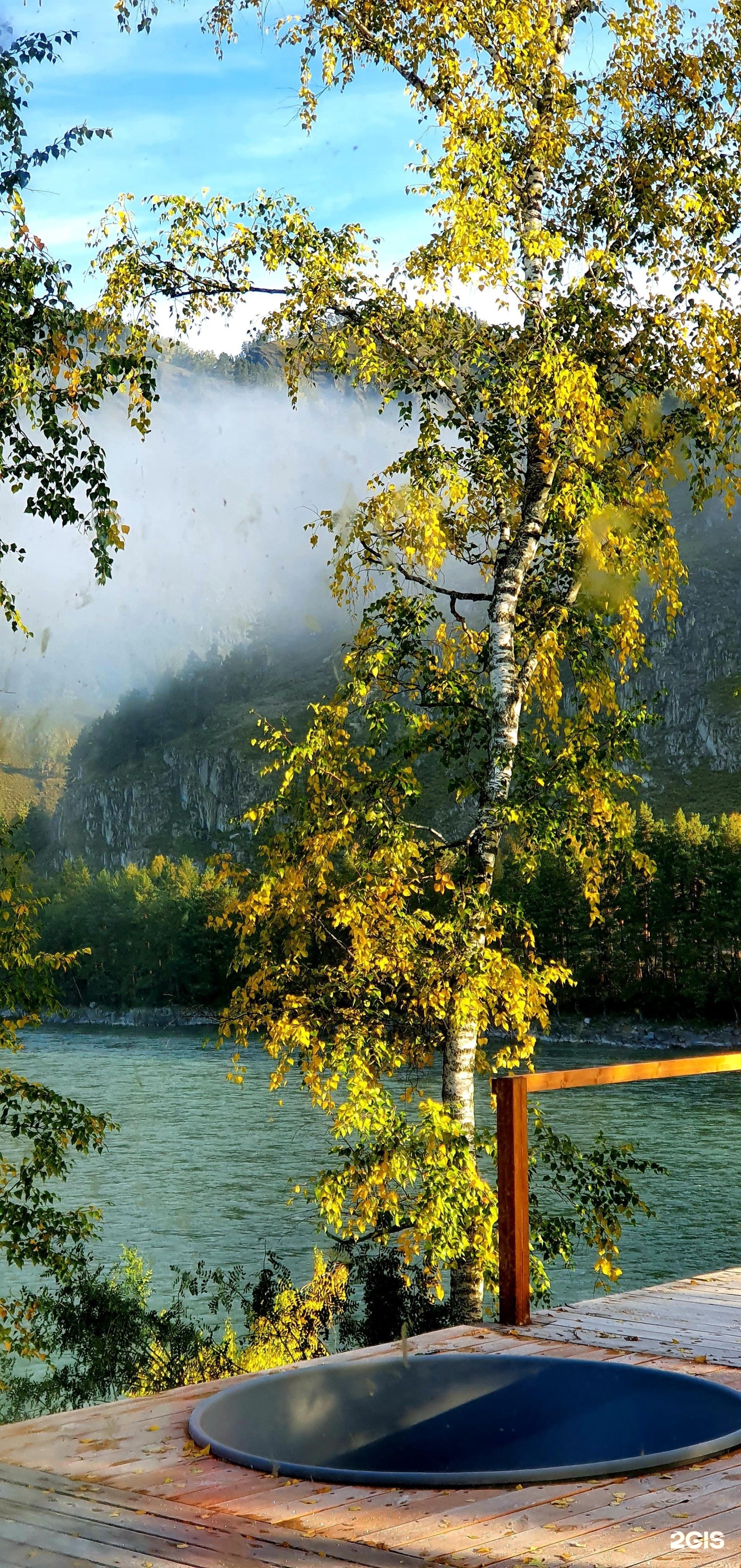 Altai ForRest - фото 63