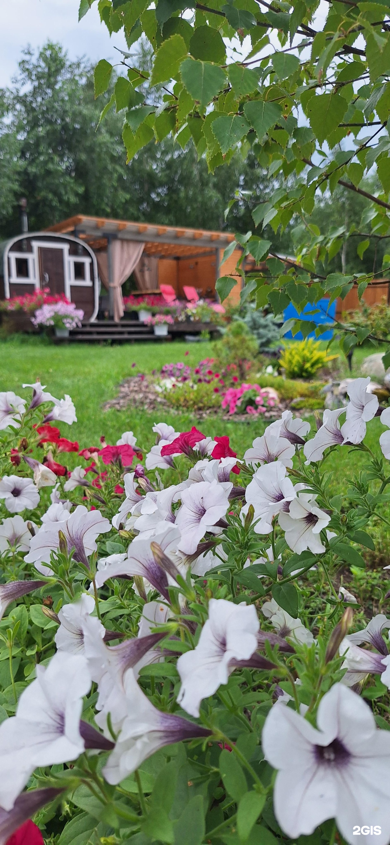 Altai ForRest - фото 65