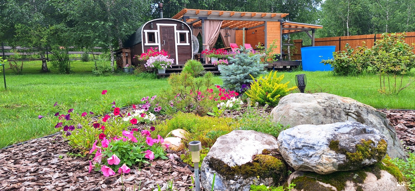 Altai ForRest - фото 66