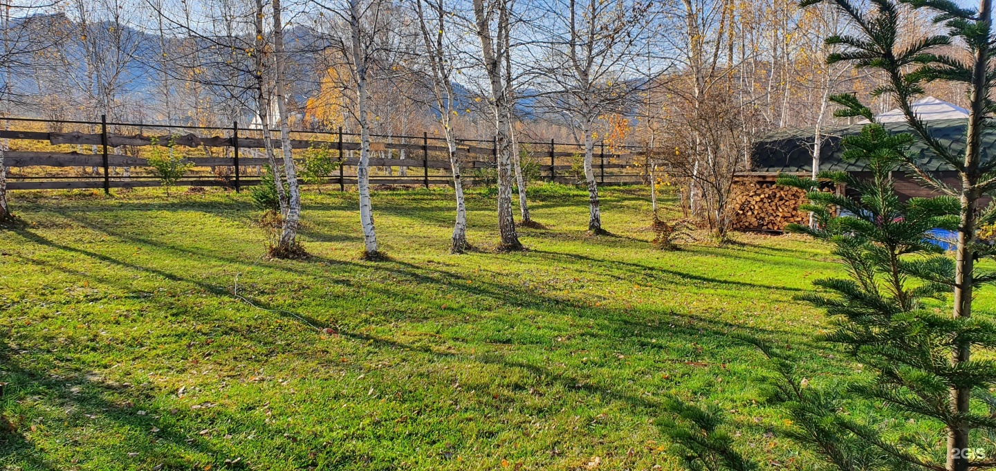 Altai ForRest - фото 75