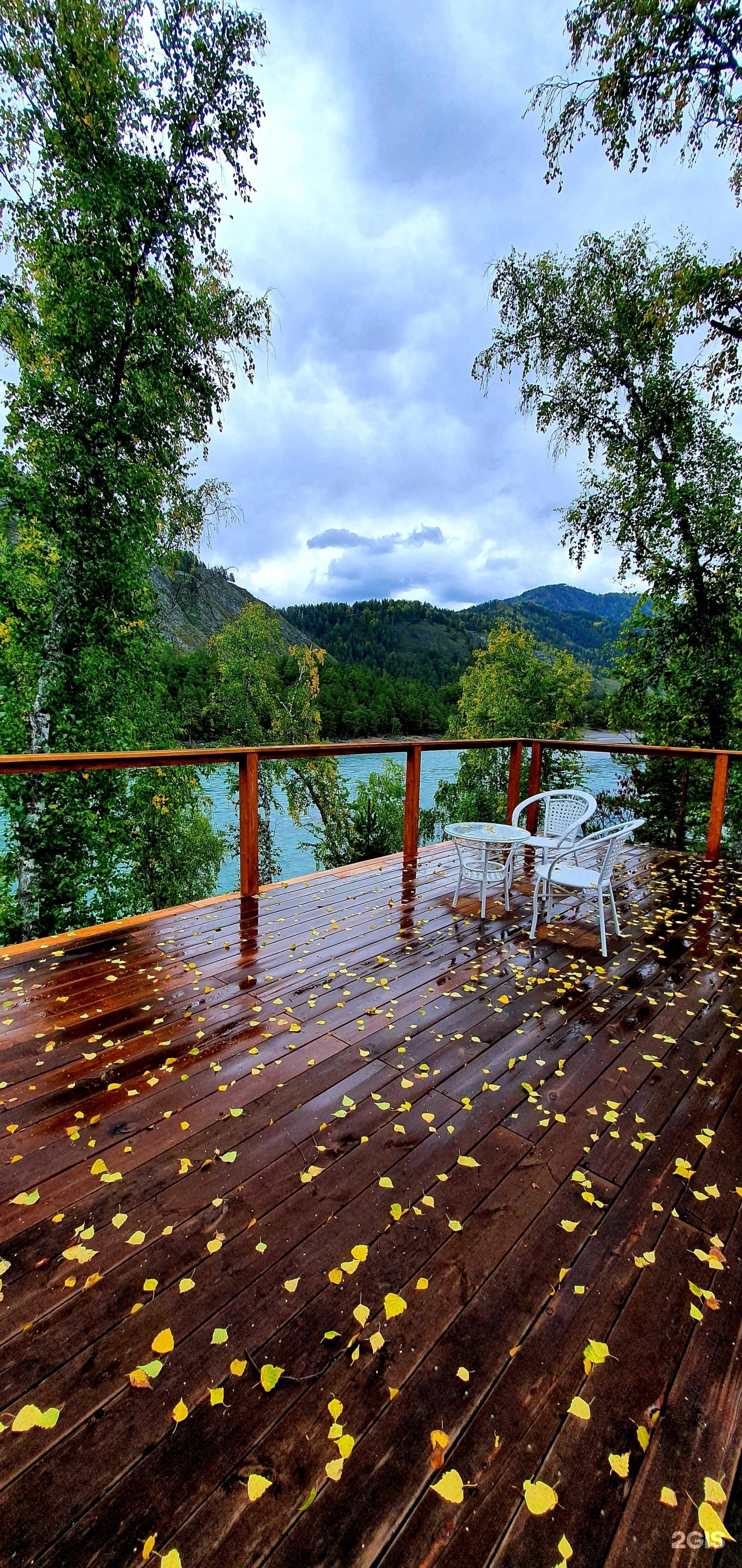 Altai ForRest - фото 76