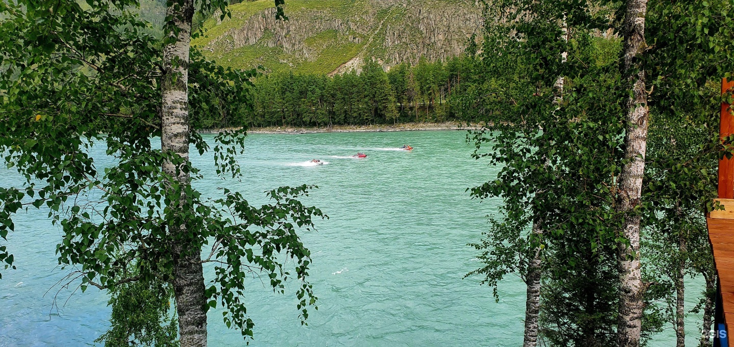 Altai ForRest - фото 79
