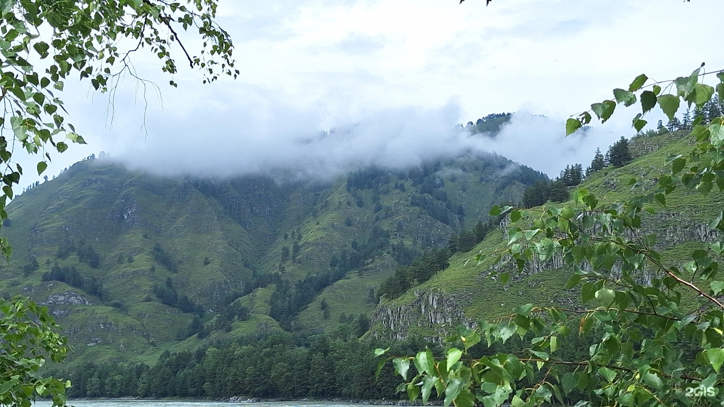 Altai ForRest - фото 80